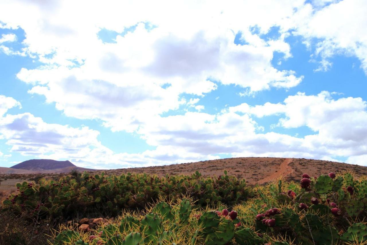 Montaña Valles De Ortega - A Exterior foto